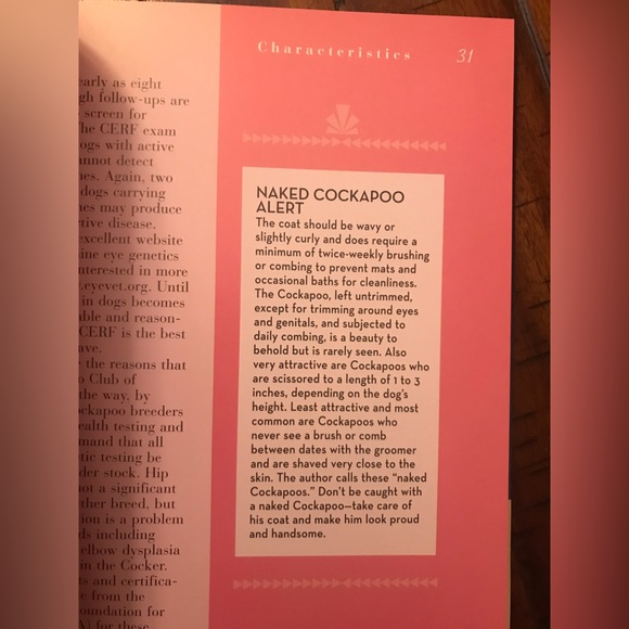 Cockapoo book - Picture 4 of 5